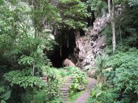 Cueva El Guácharo